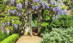 Indian Block Printing Workshop - Friday 20th June 2025 - 10.30am - 1pm - The Bothy at Bowood House, Wilts SN11 0LZ